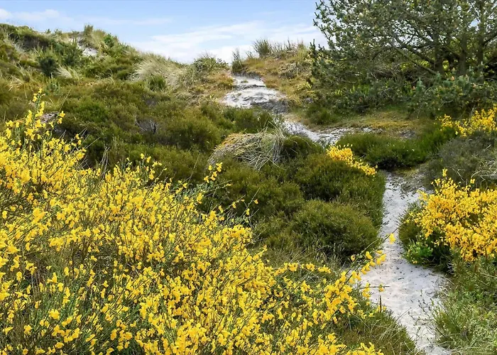 Hs008-henne-porsevej-10 Henne Strand